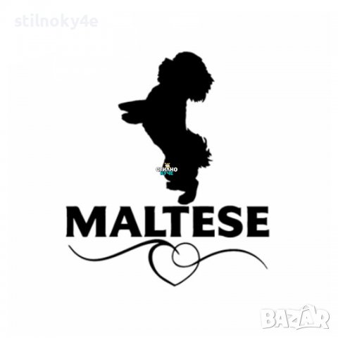 Стикер за автомобил/кола на породата Малтийска болонка Стикери за автомобили на различни породи, снимка 1