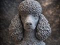 Poodle Bust / Пудел бюст, снимка 1