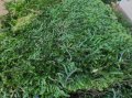 Дълъг декоративен плосък стабилизиран скандинавски естествен мъх, снимка 2