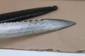 Немски нож ''KS 98'' Маузер, снимка 9
