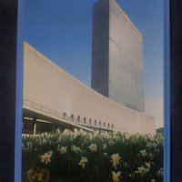 ООН 1989 - Пощенска картичка - United Nations, снимка 1 - Филателия - 38901122