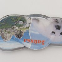  Ключодържател от езерото Байкал, Русия-серия-25, снимка 7 - Други ценни предмети - 28653341