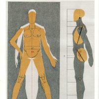 Човешкото тяло Учебник по пластична анатомия Годфрид Бамес , снимка 6 - Енциклопедии, справочници - 28089549