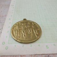 Медал "STADTGRABENLAUF MÄNNERTURNVEREN WOLFENBÜTTEL", снимка 3 - Други ценни предмети - 38256550