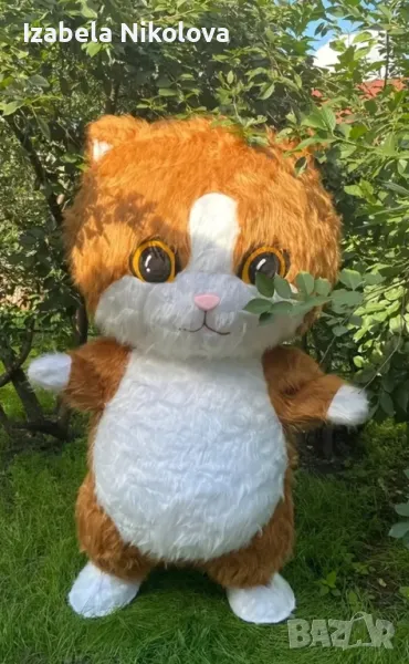 Изненада с огромно пухкаво коте, снимка 1