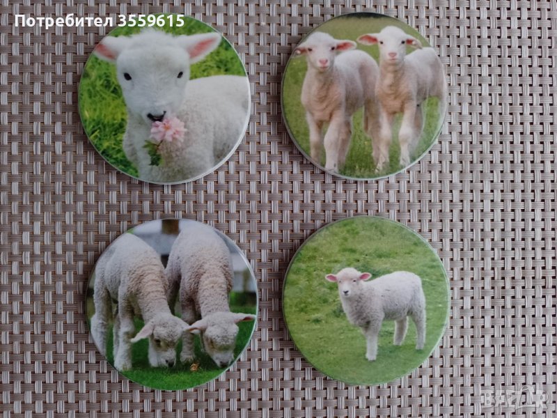 керамични магнити от Ирландия , снимка 1