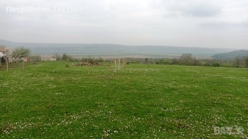 Продавам дворно място в с.Сава обл.Варна, снимка 1