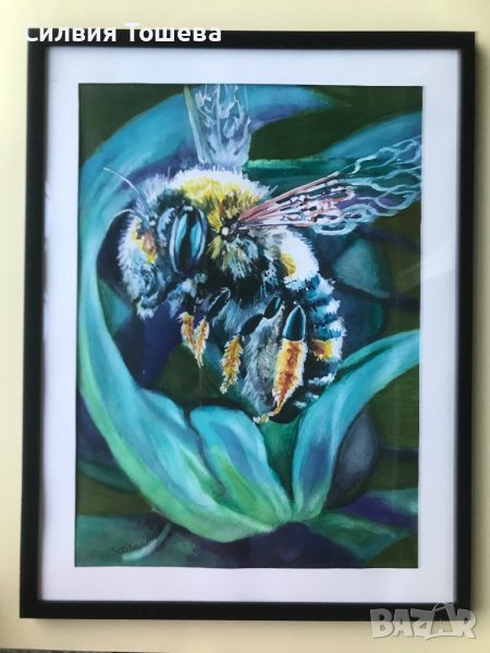 Чаровна пчеличка, снимка 1
