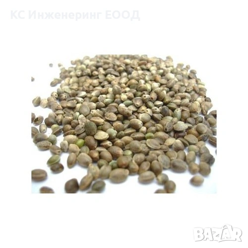 Небелено Конопено семе 5 кг , снимка 1
