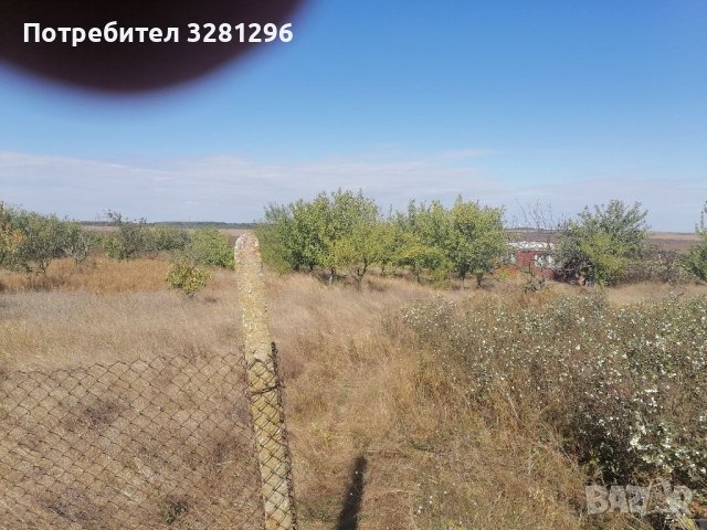 Продавам земеделска земя- овощна градина с. Левски, снимка 7 - Земеделска земя - 38077207