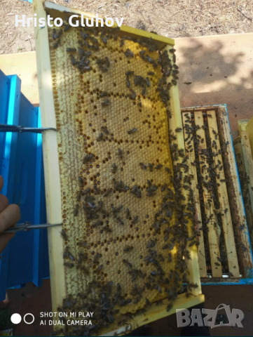 Многокорпусни пчелни отводки , снимка 3 - За пчели - 44932155