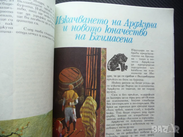 Индийски приказки Подбрани случки из старинния индийски епос Махабхарата, снимка 4 - Детски книжки - 50812605