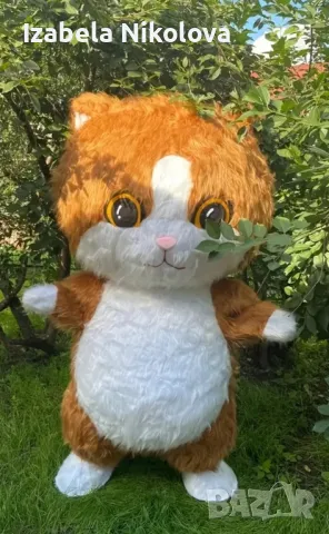 Изненада с огромно пухкаво коте
