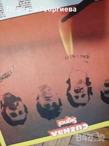 Колекционерски грамофонни плочи 13 броя - избрани, снимка 11 - Грамофонни плочи - 38031623