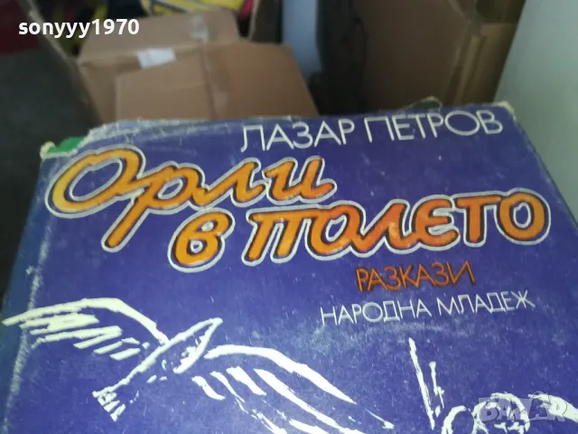 ОРЛИ В ПОЛЕТО 1402250818, снимка 4 - Други - 49122824