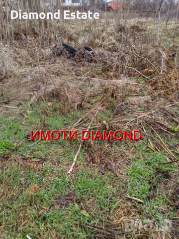 Парцел в село Брод общ. Димитровград, снимка 5 - Парцели - 48207676