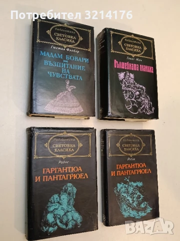 Мадам Бовари; Възпитание на чувствата - Гюстав Флобер
