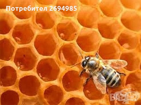 ПЧЕЛЕН МЕД, снимка 4 - Пчелни продукти - 30396878