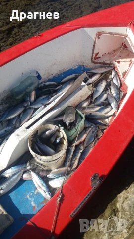 Ветроходна лодка Neptune, снимка 3 - Екипировка - 42983031