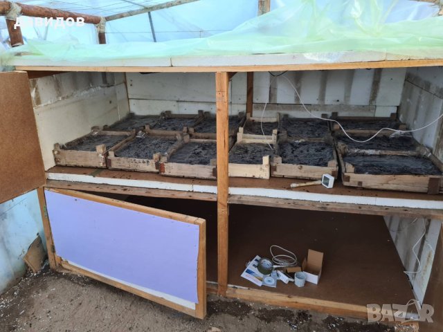 Отопление за оранжерия, разсадник, маса за разсад , парник.Сушилня!, снимка 9 - Стайни растения - 34264703