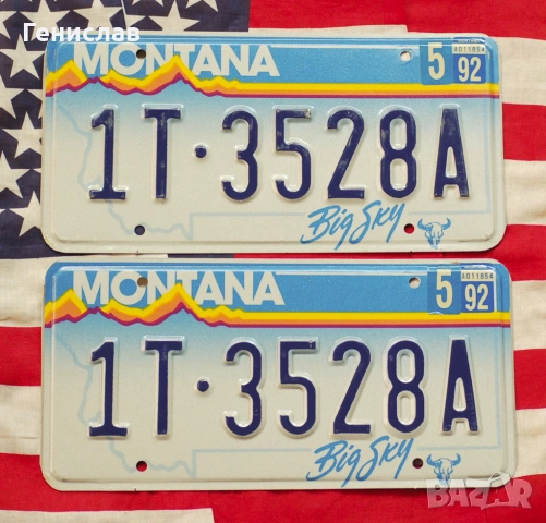 Американски Регистрационни Номера Табели USA Комплект ЧИФТ, снимка 7 - Колекции - 53512051