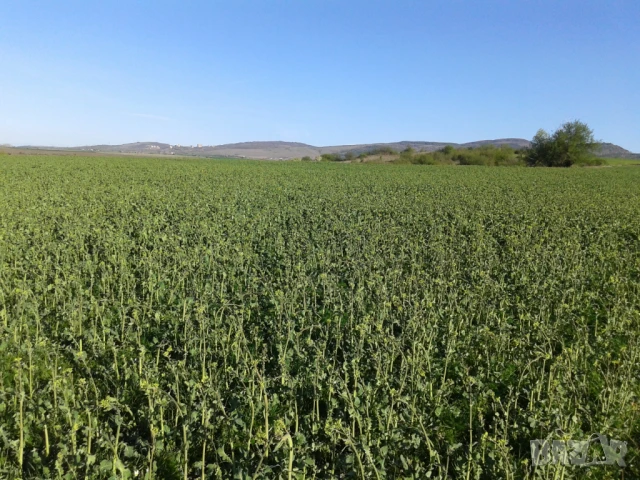 Парцел в гр. София, с. Доброславци намира се на земеделски път с лесен достъп. ПИ , снимка 10 - Парцели - 51400498