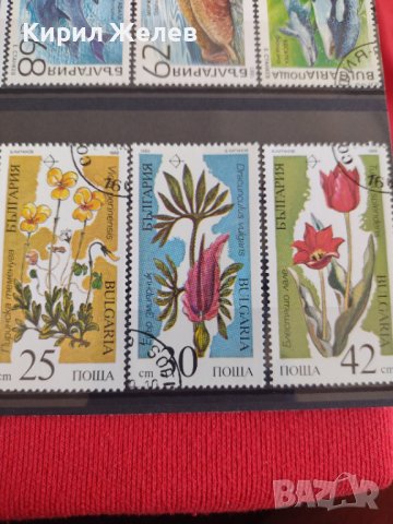 Пощенски марки ЖИВОТНИ, ЦВЕТЯ стари редки от соца поща България за колекция 29212, снимка 7 - Филателия - 37712446