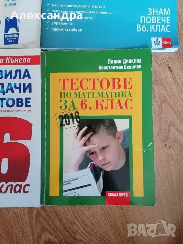 Помагала за 6 клас , снимка 5 - Учебници, учебни тетрадки - 38073236