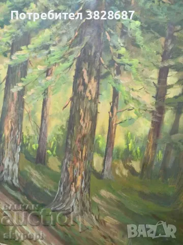 Картина "Гора", снимка 5 - Картини - 48247596