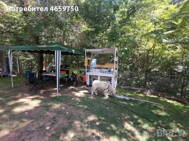 Продава се каравана с място в къмпинг Юг, снимка 4 - Каравани под наем - 52525285