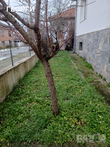 Собственик продава къща в с.Бродилово, снимка 2 - Къщи - 53374037