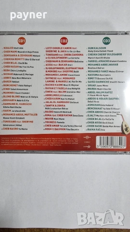 RAI ORIENTAL-3CD, снимка 2 - CD дискове - 53160076