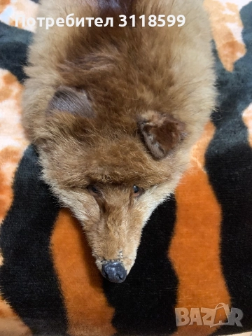 Цял пелет от лисица – естествен косъм, отлично състояние, снимка 2 - Други стоки за дома - 52854592