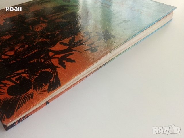 От ловджийската чанта - Рудо Мориц - 1984г., снимка 6 - Детски книжки - 36816560