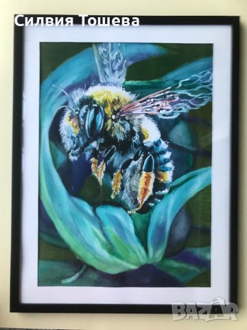 Чаровна пчеличка, снимка 1 - Картини - 43928204