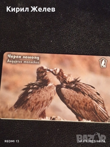 Три фонокарти тема ЖИВОТНИ ЧЕРЕН ЛЕШОЯД, ЩЪРКЕЛИ,КОЗИ за КОЛЕКЦИЯ 21890, снимка 10 - Колекции - 51669802