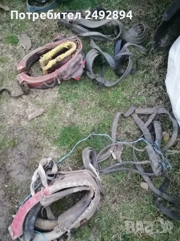 Конски хамут , снимка 3 - Други животни - 52506534