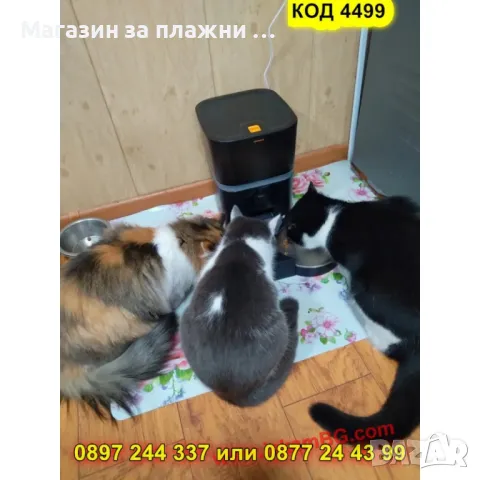 Автоматична WiFi Хранилка с Камера и Програматор – За Котки и Кучета - КОД 4499, снимка 5 - Други стоки за животни - 50170584