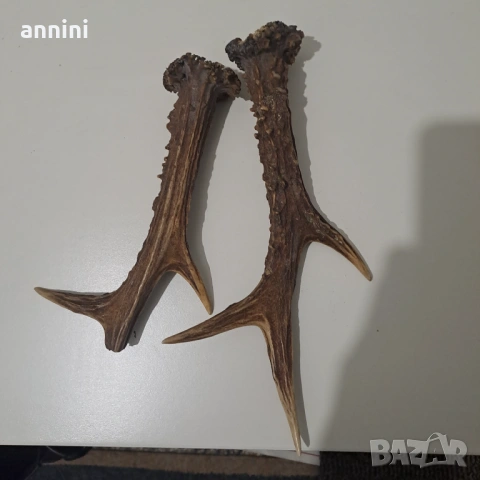 продавам милиционерски пагони  и знаци  старшински, снимка 18 - Антикварни и старинни предмети - 28422745