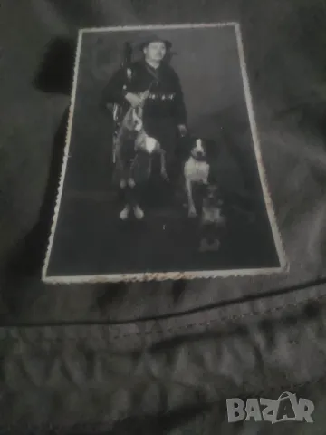 Снимка на Ловеч ,кучета , улов