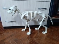 скелет на голямо куче за Хелоуин , снимка 4