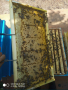 Многокорпусни пчелни отводки , снимка 3