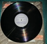 Грамофонна плоча Щурците, снимка 3