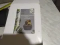 Декоративен фонтан нов Home Décor, Полирезин и фибростъкло, Слонче помпа, адаптер и LED светлини., снимка 12