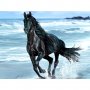 Черен кон, снимка 1 - Гоблени - 32947107