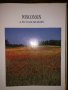 Wisconsin: A Picture Memory text by Bill Harris (1996), снимка 2