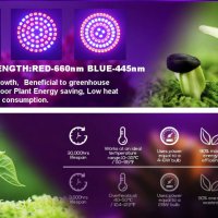 Растеж на растенията LED фито лампа крушка  5W 220V E27, снимка 3 - Стайни растения - 27633708