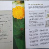 Лекарствени растения - Наръчник на билките и лечебните им свойства, снимка 3 - Енциклопедии, справочници - 43939342