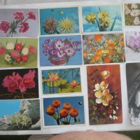 Пощенски картички с цветя и животни., снимка 1 - Колекции - 43512265