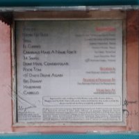 Robert Walter – 2005 - Super Heavy Organ(Irond – IROND CD 07-DD531)(Jazz-Rock,Funk,Fusion), снимка 5 - CD дискове - 43709299